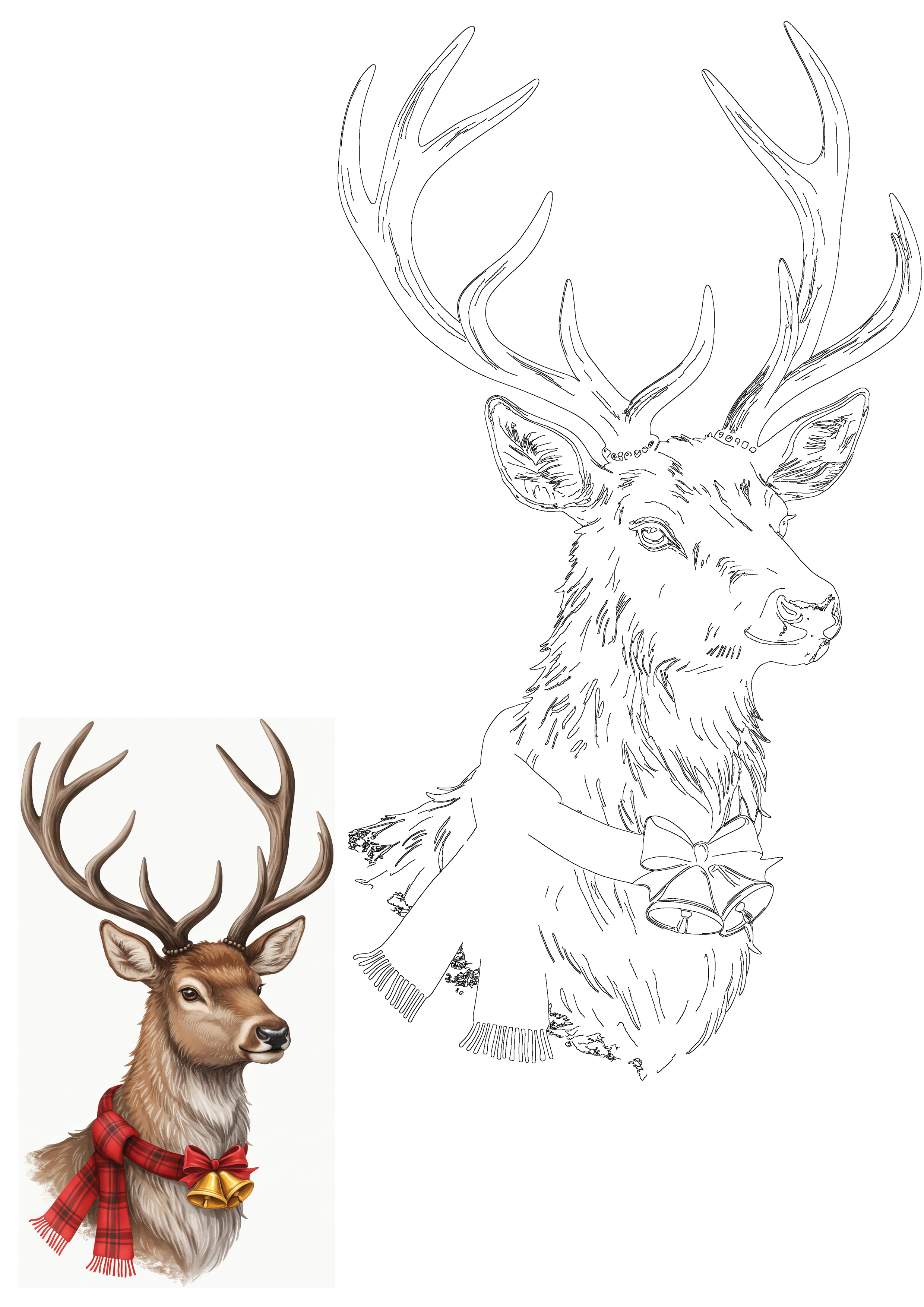 Majestic deer with antlers, festive red plaid scarf, and golden jingle bells, presented with its original illustration and outline drawing for creative enjoyment.