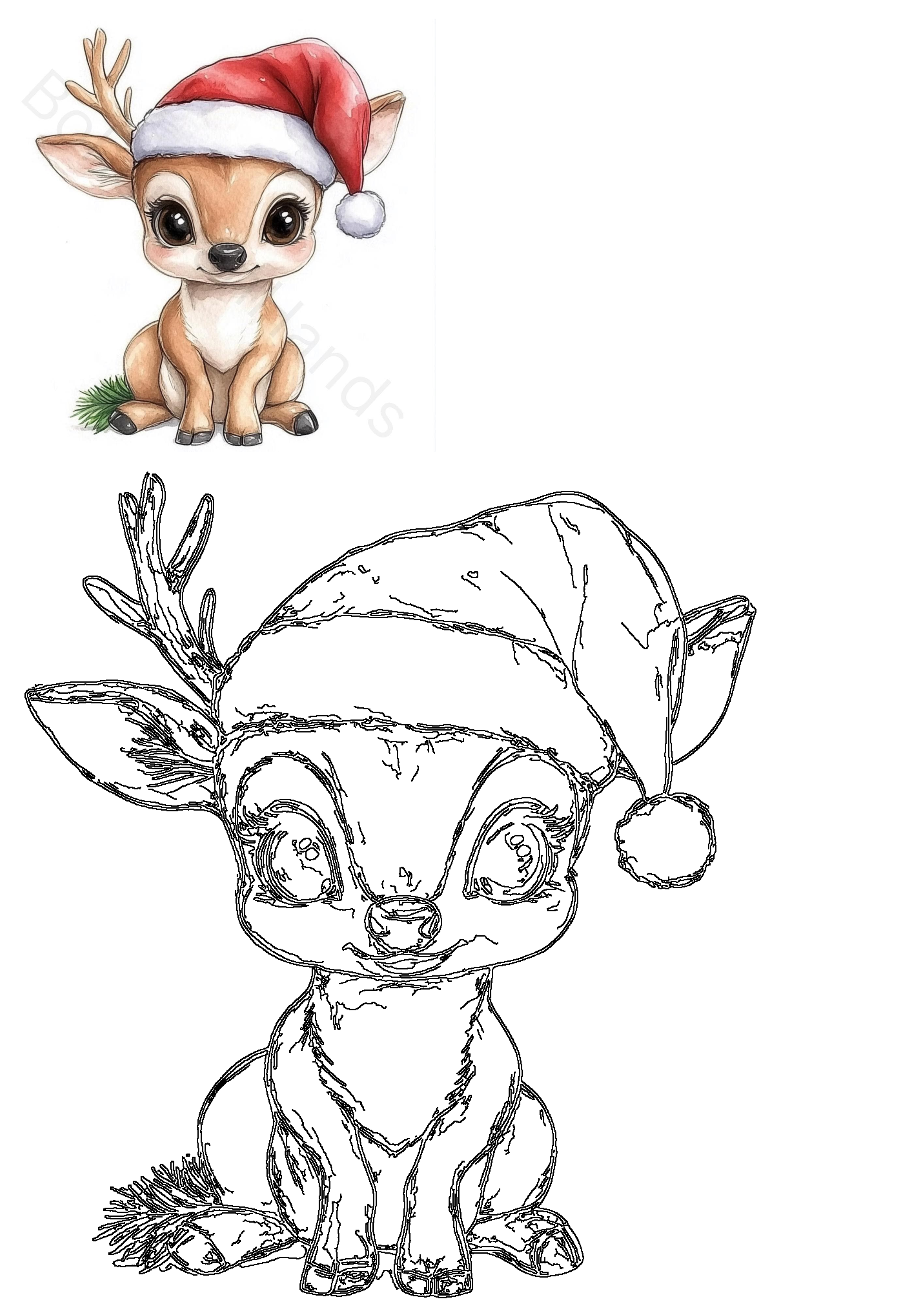 Adorable baby deer in a Santa hat, shown as both a charming watercolor illustration and a black outline drawing, perfect for Christmas.