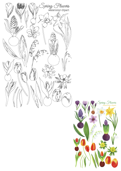 Watercolor flowers in different colors and sizes, including tulips, daffodils, crocuses, snowdrops, lily of the valley and other spring flowers.
