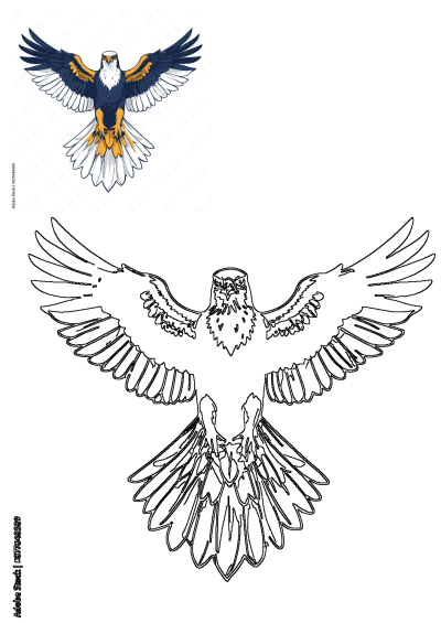 Illustration of an eagle flying with its wings spread. The eagle is a majestic bird with intricate details on its feathers and body. 