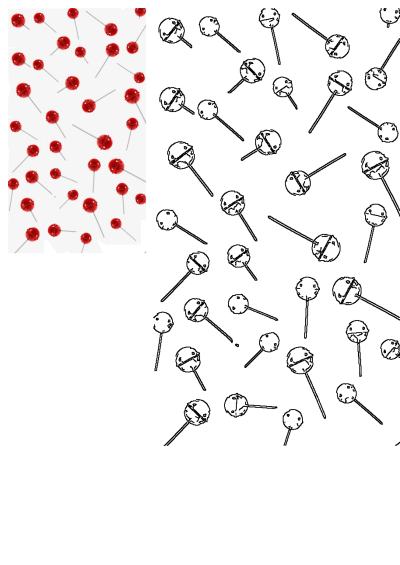 Many red lollipops are arranged on a white background. This image showcases a sweet and visually appealing arrangement of the candies.