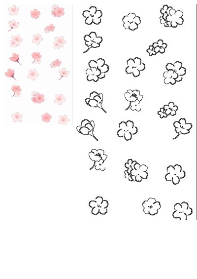 Pink cherry blossom pattern seamless background featuring delicate blooms scattered across a white background. Ideal for digital paper.