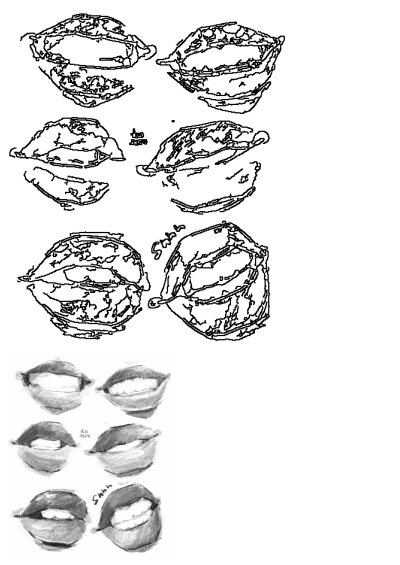 Pencil drawing of different lip expressions on white paper. A study of lips showcasing various poses and emotions captured in pencil strokes.
