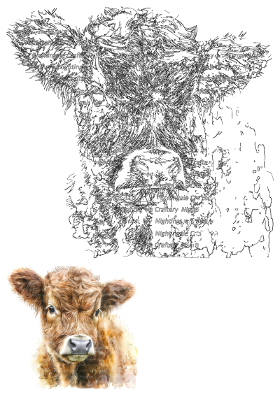 Watercolor clipart of a cute Highland calf. A printable digital download perfect for paper crafts and junk journals. High-quality JPG/PNG for your projects.
