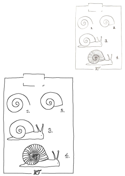 Snail drawing tutorial with 4 steps, black outline on paper background, simple instructions, easy drawing for kids and beginners