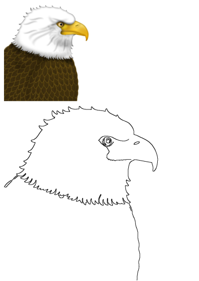 Close-up of an eagle with white and brown feathers on its head, looking to the side. Majestic bird illustration with sharp details.