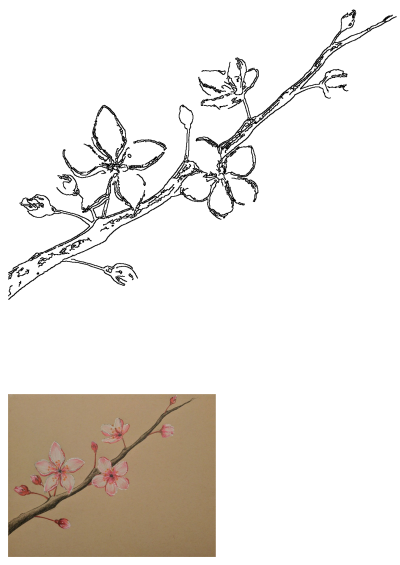Artwork depicting a branch with pink cherry blossom flowers. A delicate branch with pink flowers painted with stunning detail.