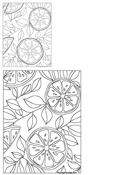 Lemon slices and leaves outline on this coloring page, one of 20 Lemon Coloring Pages (Free PDF Printables). Use for creative coloring fun.