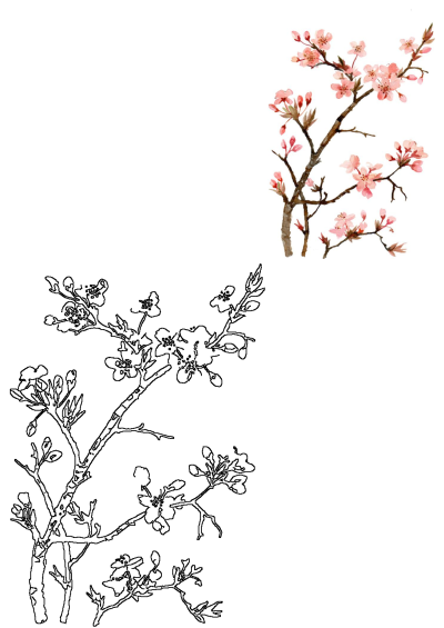 Painting of pink flowers on a tree branch with leaves in the foreground, set against a white background. Delicate floral art.