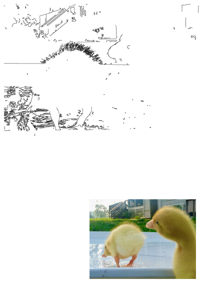 Two cute, yellow ducklings are standing in the water outside, enjoying a splash in a shallow pool on a sunny day. 