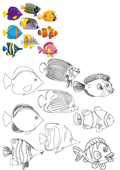 A group of different colored cartoon fish on a white background showcasing various vibrant species with unique patterns and shapes.