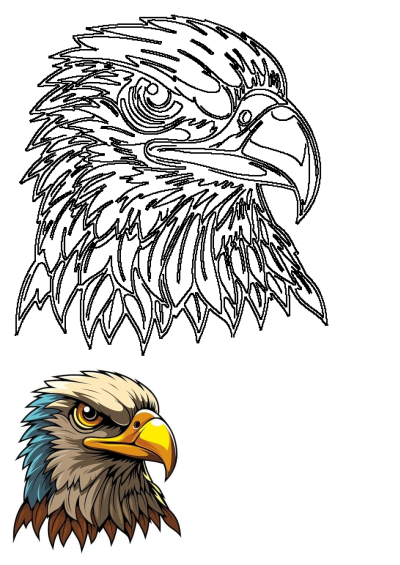 Illustration of an eagle's head with intense gaze, featuring distinctive blue and white feathers on the front of its head. Symbol of freedom.