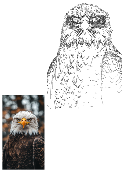 A majestic eagle with striking white and black feathers looks directly at the camera with piercing yellow eyes and a sharp beak. Symbol of freedom.