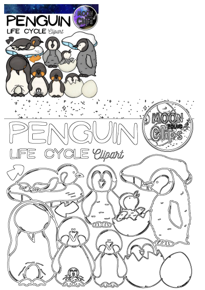 Penguin life cycle clipart with penguins and eggs in the snow, on a space background. Includes all life stages of the penguin.