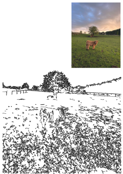 A fluffy brown Highland calf standing on a lush green field, with a picturesque sunset and tree in the background. Cute calf at dusk.