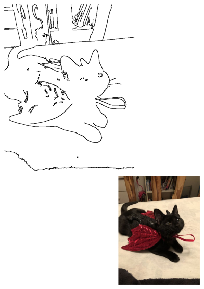 A charming black cat, adorned with red angel wings costume, reclines gracefully on a bed while looking at the camera. Perfect Halloween pet costume!