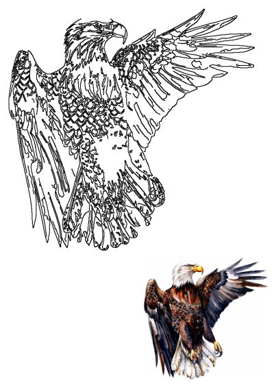 An eagle is flying with its wings spread in this beautiful watercolor illustration. Artistic depiction of the majestic bird in flight.