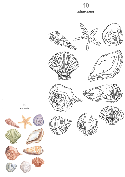 Watercolor image of 10 elements featuring seashells and starfish on a white background. Perfect for coastal themed designs.