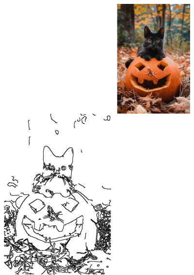 a black cat sitting on top of a carved pumpkin in the woods with leaves around it