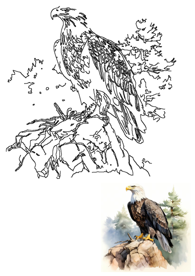 Watercolor painting of an eagle sitting atop a rock, with pine trees in the background. Beautiful illustration.