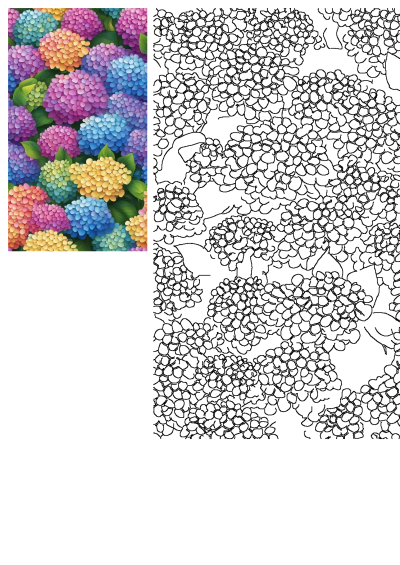 Colorful flowers with green leaves on the top and bottom are shown. This painting by numbers image features a variety of hydrangea blooms.