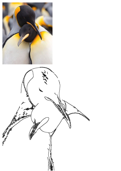 A touching image of a couple of King Penguins standing next to each other, seemingly cuddling. These affectionate Antarctic birds share a tender moment.