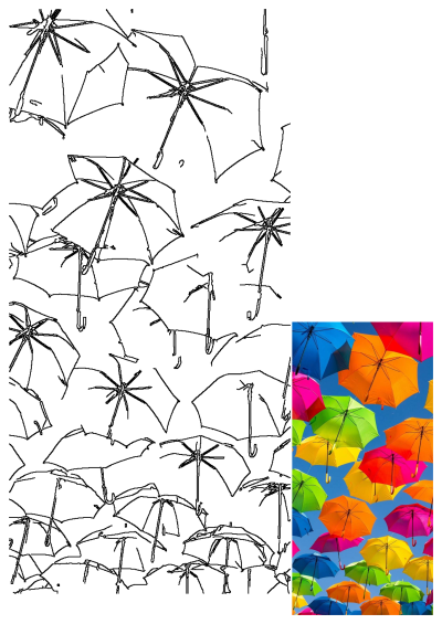 A vibrant array of colorful umbrellas fill the sky, creating a cheerful and bright display. Shades include pink, orange, yellow, green and blue.