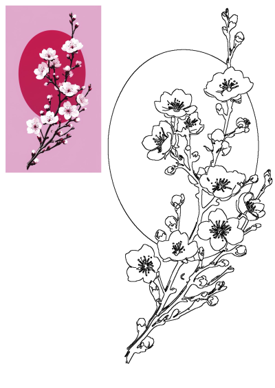 Elegant cherry blossom branch with delicate white flowers against a pink background and a bold pink circle. Beautiful floral spring image.