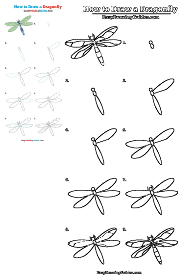 Step-by-step drawing guide on how to draw a dragonfly, from sketching the body to adding details to the wings in nine easy steps.