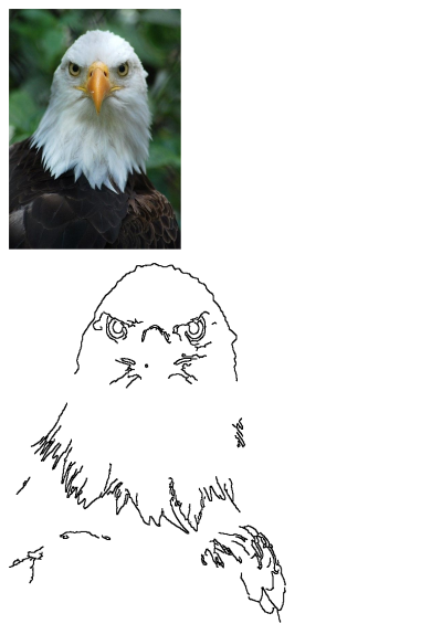 Close up image of a majestic bald eagle standing proudly against a leafy background. The eagle is standing in front of some leaves.