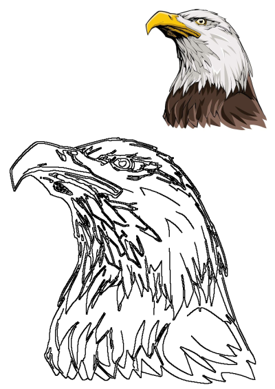 Illustration of an eagle's head on a white background. Features the bird's sharp yellow beak, piercing eye, and brown and white feathers.
