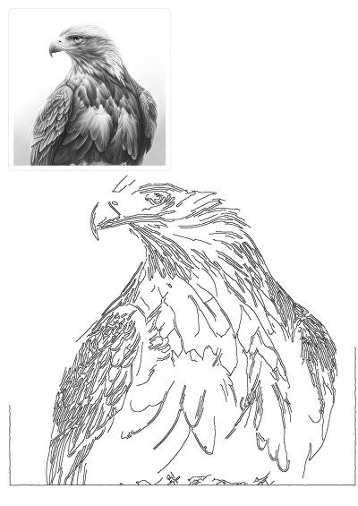 Detailed black and white drawing of an eagle. A majestic bird portrait with intricate feather details and a sharp, focused gaze.