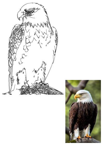 A majestic bald eagle with brown feathers and a white head sits perched on a tree branch, surveying its surroundings with sharp eyes. 
