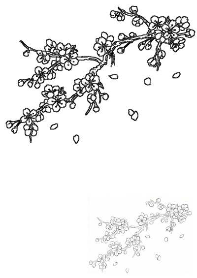 Detailed outline drawing of a cherry blossom branch with open flowers, buds, and falling petals. Elegant floral design element.