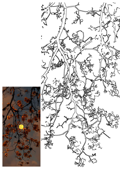 the full moon is seen through the branches of a tree at dusk in this photograph